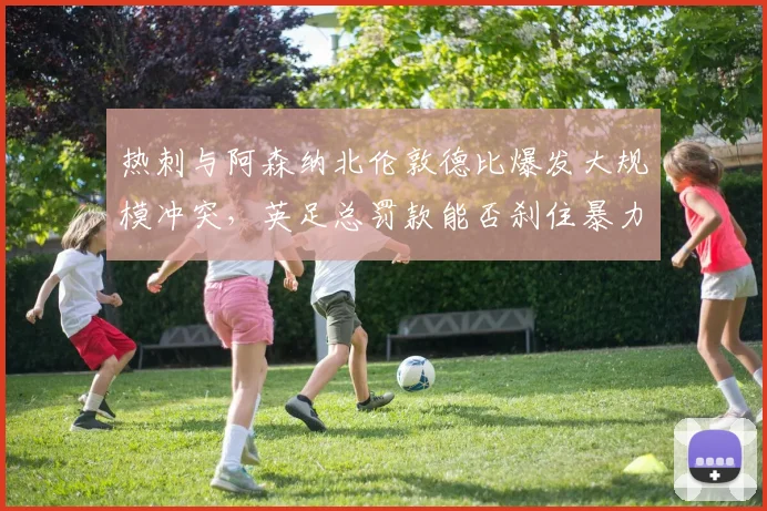 热刺与阿森纳北伦敦德比爆发大规模冲突,英足总罚款能否刹住暴力苗头?